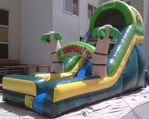 Tropical Waterslide from biloxi Bounce House